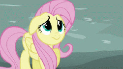 Size: 450x253 | Tagged: safe, screencap, fluttershy, pony, g4, griffon the brush off, season 1, animated, female, floppy ears, frown, looking up, raised hoof, scared, solo, talking