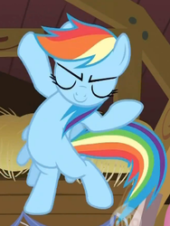 Size: 293x389 | Tagged: safe, screencap, rainbow dash, g4, flying, swag