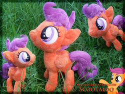 Size: 816x612 | Tagged: safe, artist:sakusay, scootaloo, pegasus, pony, g4, folded wings, grass, irl, multiple views, outdoors, photo, plushie, solo, wings