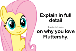 Size: 559x371 | Tagged: safe, fluttershy, g4, love, meta