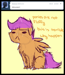 Size: 520x598 | Tagged: safe, artist:feathersandink, scootaloo, g4, ask, fluffy, that scootaloo, tumblr