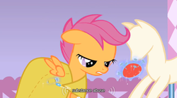 Size: 640x355 | Tagged: safe, screencap, scootaloo, g4, youtube caption