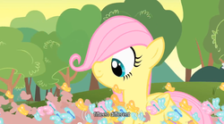 Size: 640x355 | Tagged: safe, screencap, fluttershy, butterfly, g4, filly, youtube caption