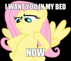 Size: 800x683 | Tagged: safe, artist:mielzsimmons, fluttershy, g4, image macro