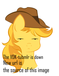 Size: 1023x1317 | Tagged: safe, artist:v-d-k, braeburn, earth pony, pony, g4, male, message, simple background, solo, transparent background, tumblr