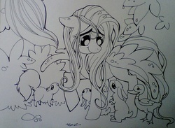 Size: 1048x769 | Tagged: safe, artist:termanianstar, fluttershy, g4, traditional art