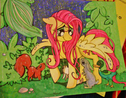 Size: 1456x1134 | Tagged: safe, artist:termanianstar, fluttershy, g4, traditional art