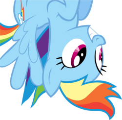 Size: 5100x4988 | Tagged: safe, artist:chir-miru, rainbow dash, pony, g4, absurd resolution, female, simple background, smiling, solo, transparent background, upside down, vector