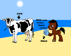 Size: 996x780 | Tagged: safe, oc, oc only, oc:bob, cow, pony, beach, disease not alicorn, milk, udder