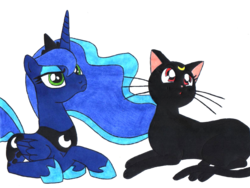 Size: 960x720 | Tagged: safe, artist:artemisito, princess luna, alicorn, cat, pony, g4, crossover, female, luna (sailor moon), mare, namesake, sailor moon (series), simple background, transparent background