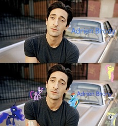 Size: 640x685 | Tagged: safe, oc, oc only, adrien brody, non-pony oc, parody