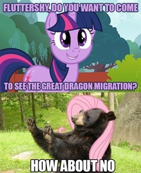 Size: 500x614 | Tagged: safe, edit, edited screencap, screencap, fluttershy, twilight sparkle, g4, comic, flutterbear, how about no, reaction image, wat