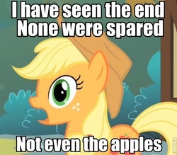 Size: 527x461 | Tagged: safe, applejack, g4, apple, i've seen some shit, image macro, the end