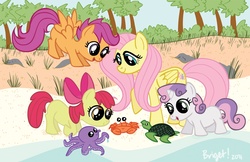 Size: 1275x825 | Tagged: safe, artist:sakurakaijuu, apple bloom, fluttershy, scootaloo, sweetie belle, crab, octopus, turtle, g4, cutie mark crusaders