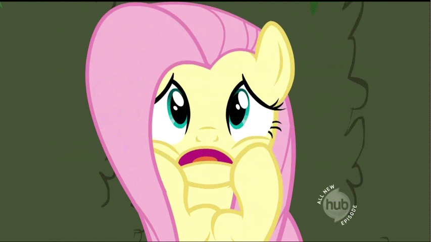 scared fluttershy gif