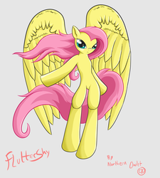 Size: 1024x1138 | Tagged: dead source, safe, artist:ac-whiteraven, fluttershy, pegasus, semi-anthro, g4, bipedal, female, impossibly large wings, large wings, mare, signature, simple background, solo, text, wings