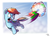 Size: 700x503 | Tagged: safe, artist:tobibrocki, rainbow dash, g4, sonic rainboom, this will end in tears, wingless