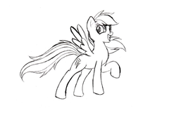 Size: 935x602 | Tagged: safe, rainbow dash, pegasus, pony, g4, female, grayscale, mare, monochrome, raised hoof, simple background, sketch, smiling, solo, spread wings, traditional art, white background, wings