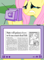 Size: 563x771 | Tagged: safe, fluttershy, pony, g4, exploitable meme, meme, tv meme