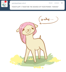 Size: 649x711 | Tagged: safe, fluttershy, alpaca, g4, alpacafied, ask, bald, my little alpaca, shaved, species swap, why