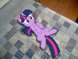 Size: 512x384 | Tagged: safe, twilight sparkle, pony, g4, bed, irl, on back, photo, ponies in real life, solo, vector