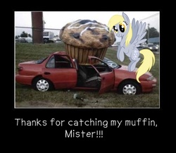 Size: 460x399 | Tagged: safe, derpy hooves, pony, g4, irl, muffin, photo, ponies in real life