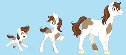 Size: 1342x590 | Tagged: dead source, safe, artist:cartoonlion, pipsqueak, pony, g4, adult, age progression, colt, comparison, looking back, male, nudity, older, open mouth, raised hoof, sheath, smiling, solo, stallion, standing, unshorn fetlocks