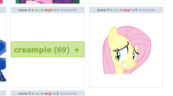 Size: 588x324 | Tagged: safe, screencap, fluttershy, derpibooru, g4, exploitable meme, juxtaposition, juxtaposition win, meta, tags