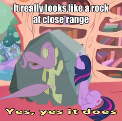 Size: 458x455 | Tagged: safe, fluttershy, tom, twilight sparkle, g4, captain obvious, image macro