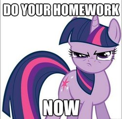 Size: 320x313 | Tagged: safe, twilight sparkle, pony, g4, female, homework, image macro, solo