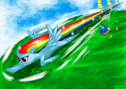 Size: 1600x1131 | Tagged: safe, artist:dragonfunk7, rainbow dash, g4, crossover, duo, female, grass, male, mare, sonic rainboom, sonic the hedgehog, sonic the hedgehog (series), speed trail