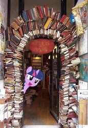 Size: 432x627 | Tagged: safe, twilight sparkle, g4, book, irl, library, photo, ponies in real life, that pony sure does love books