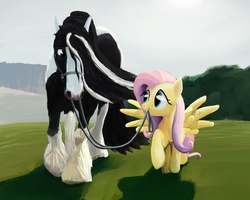 Size: 1000x800 | Tagged: safe, artist:lostdragon01, fluttershy, oc, gypsy vanner, horse, pegasus, pony, g4, aside glance, bridle, cute, eye contact, female, field, fluffy, grin, hair over one eye, horse-pony interaction, leash, looking at each other, looking back, male, mare, mouth hold, raised hoof, reins, shyabetes, smiling, spread wings, stallion, tack, unshorn fetlocks, walking, wings
