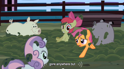 Size: 635x353 | Tagged: safe, edit, edited screencap, screencap, apple bloom, scootaloo, sweetie belle, earth pony, pegasus, pig, pony, unicorn, family appreciation day, g4, caption, female, filly, text, youtube caption