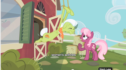 Size: 641x354 | Tagged: safe, screencap, cheerilee, granny smith, family appreciation day, g4, my little pony: friendship is magic, youtube caption