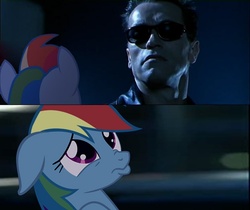 Size: 623x524 | Tagged: safe, rainbow dash, human, pony, g4, arnold schwarzenegger, irl, photo, ponies in movies, terminator, vector