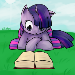 Size: 400x400 | Tagged: safe, artist:eshredder, twilight sparkle, pony, g4, book, clothes, female, reading, socks, solo, striped socks