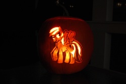 Size: 1024x681 | Tagged: safe, rainbow dash, pony, g4, jack-o-lantern, photo, pumpkin