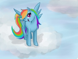 Size: 800x600 | Tagged: safe, artist:thebesoneceilrux, rainbow dash, pony, g4