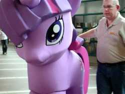 Size: 480x360 | Tagged: safe, twilight sparkle, human, pony, unicorn, 2011 my little pony fair, my little pony fair, g4, official, clothes, costume, female, hasbro, irl, irl human, male, mare, photo, ponies in real life, ponysuit, quadsuit, unicorn twilight, youtube link