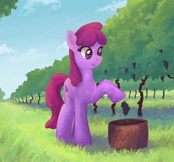 Size: 648x603 | Tagged: safe, artist:choedan-kal, berry punch, berryshine, g4, grapes