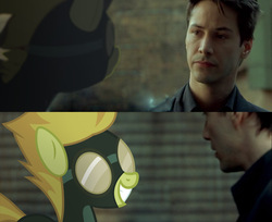Size: 1196x975 | Tagged: safe, spitfire, human, pony, g4, crossover, irl, keanu reeves, neo, photo, ponies in movies, the matrix, vector