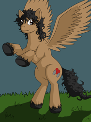 Size: 1000x1333 | Tagged: safe, oc, oc only, pegasus, pony, author:mbs, wings