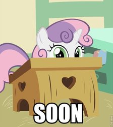 Size: 500x558 | Tagged: safe, edit, edited screencap, screencap, sweetie belle, pony, g4, cropped, desk, female, image macro, solo, soon