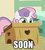 Size: 500x558 | Tagged: safe, edit, edited screencap, screencap, sweetie belle, pony, g4, cropped, desk, female, image macro, solo, soon