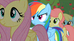 Size: 500x281 | Tagged: safe, screencap, fluttershy, gala appleby, rainbow dash, sassaflash, g4, the super speedy cider squeezy 6000, animated, apple family member, female