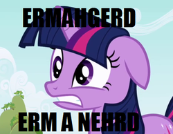 Size: 464x360 | Tagged: safe, twilight sparkle, g4, ermahgerd, meme