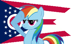 Size: 480x300 | Tagged: safe, rainbow dash, pony, g4, flag, gif, non-animated gif, ohio