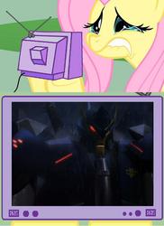 Size: 562x772 | Tagged: safe, fluttershy, pony, g4, dreadwing, exploitable meme, meme, transformers, tv meme