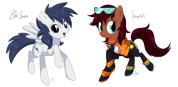 Size: 1200x588 | Tagged: safe, artist:miikanism, oc, oc only, oc:bluestream, oc:snapshot, pony, duo, simple background, transparent background